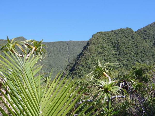 Le Piton Lardé domine la Vallée Heureuse (à gauche)