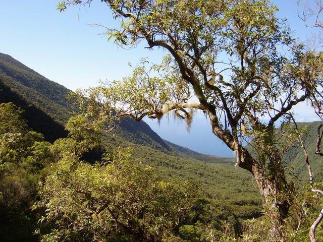 A mi-pente, la vue s'élargit vers Basse Vallée