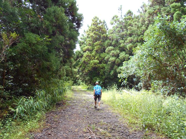 Vers la fin de la piste après une balade reposante