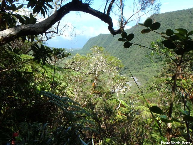 Point de vue durant la forte montée