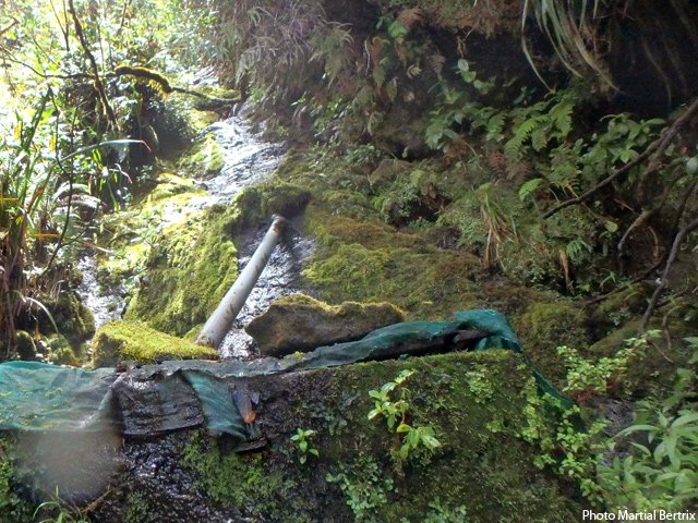 La source et le ^petit captage