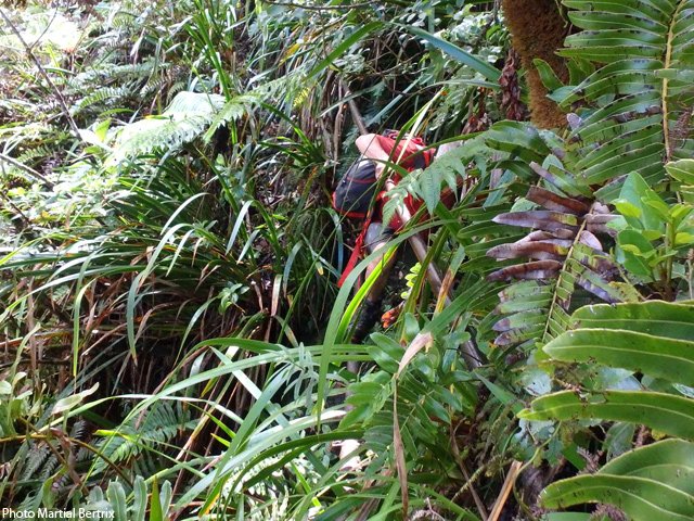 Le tuyau sert de fil d'Ariane dans les sabres