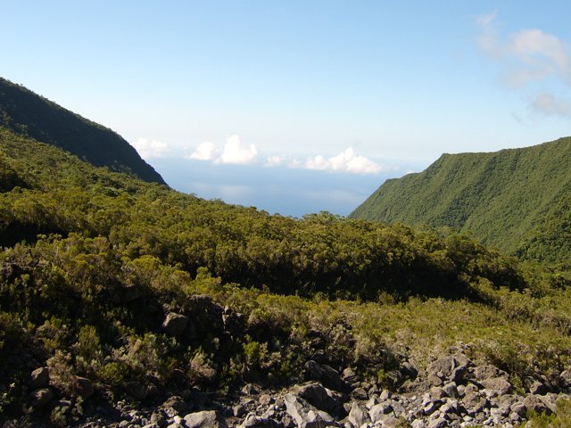La vallée depuis le promontoire en rive droite