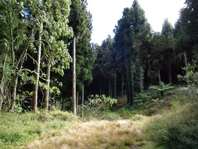 Prendre la piste herbeuse pour rejoindre le point de départ