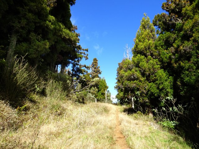 Une autre idée de la piste
