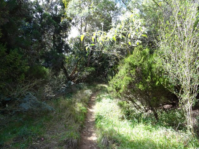 Plus bas, le sentier remplace la piste