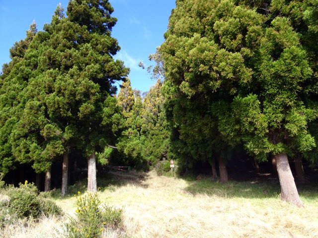 La piste herbeuse et la barrière qui la ferme