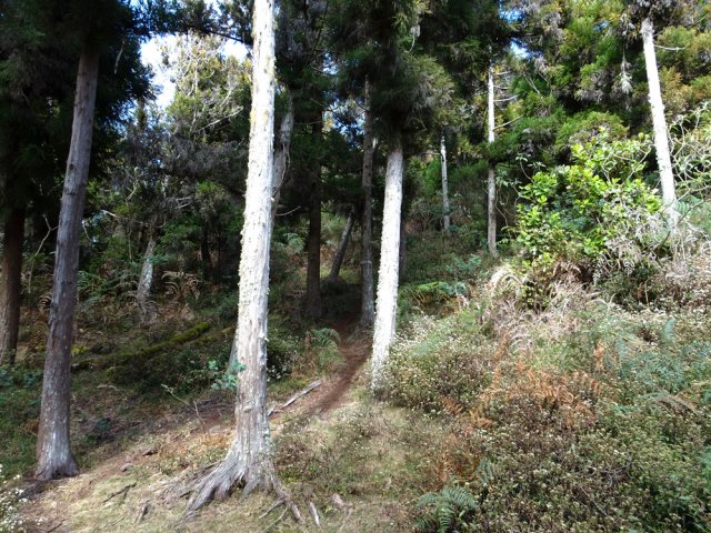 La portion la plus pentue de la montée