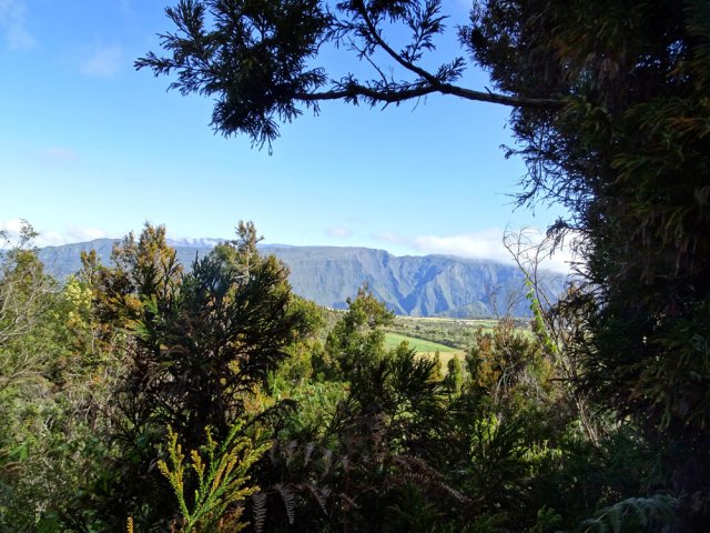 Points de vue de plus en plus bouchés par les branches