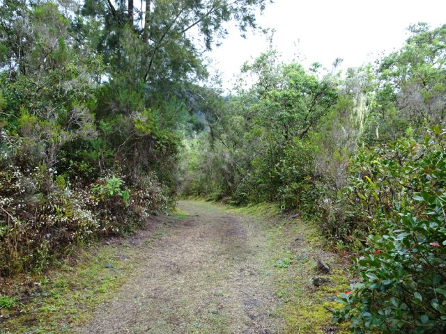 Plus bas, c'est un savant mélange des nombreuses espèces déjà rencontrées