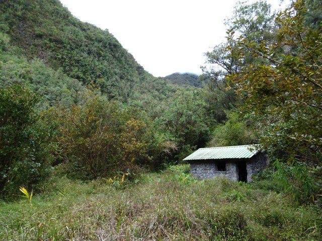 Petite halte à l'abri de l'ONF pour déguster des goyaves