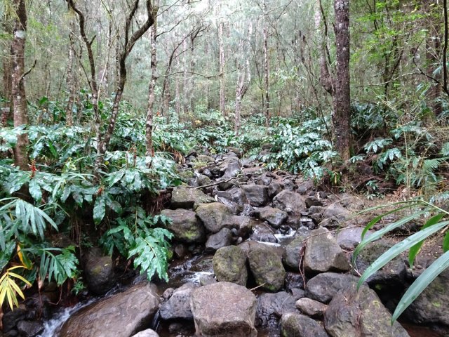 Cette ravine marque le début d'une forte montée
