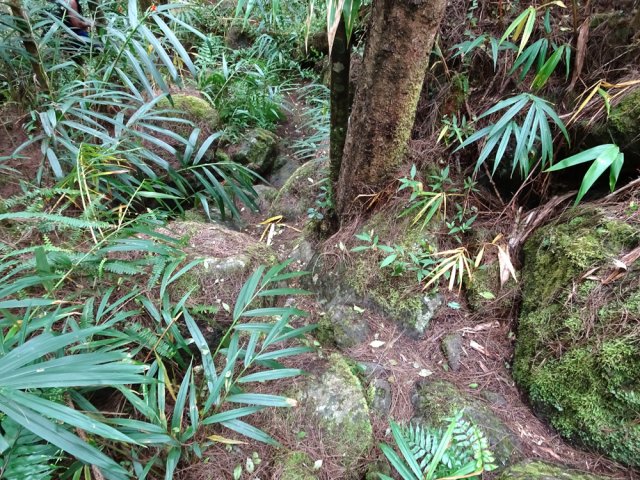 Premiers tronçons rocailleux et glissants