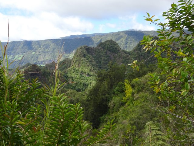 Points de vue vers le Cap Anglais et la forêt de Bélouve