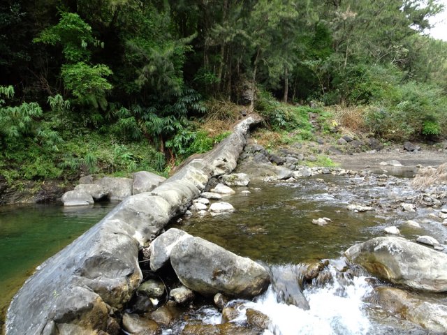 La longue barre basaltique, repère pour traverser la Rivière du Mât