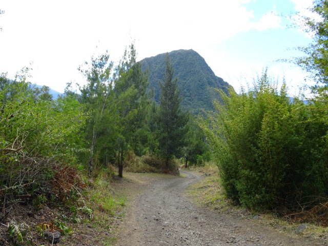 La piste en terre qui descend vers le Bras Marron