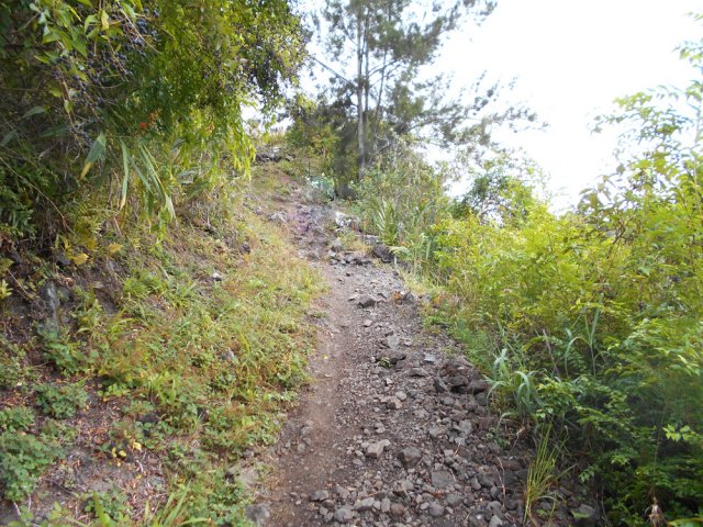 Le sentier est caillouteux après l'îlet de Mare d'Affouches