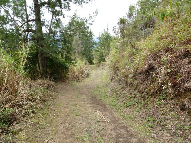 Fin de la montée avant la forêt de filaos