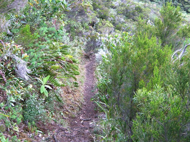 Une portion plate entre deux lacets de la difficile montée
