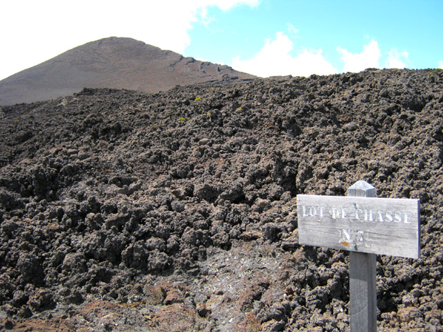 On se demande bien ce qu'il y a à chasser dans le coin