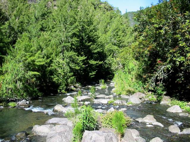 La Ravine des Sep Bras, à ne pas suivre