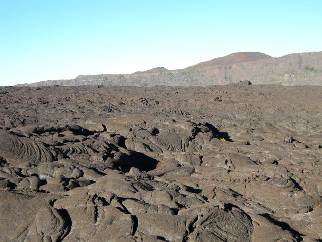 Beaucoup de larves cordées en allant vers les Cratères Rivals