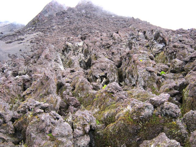 C'est sur cette portion déchiquetée que le sentier est le plus difficile.