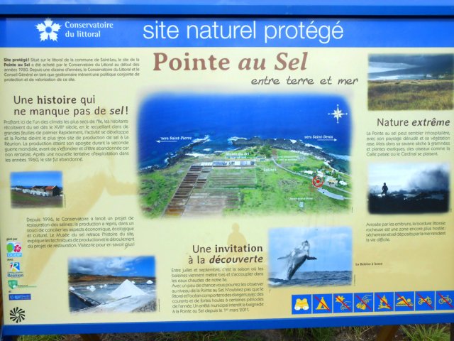 Un peu de lecture avant le départ, près du Musée du Sel