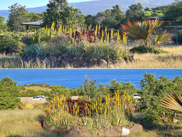 Retour aux aires de repos fleuries