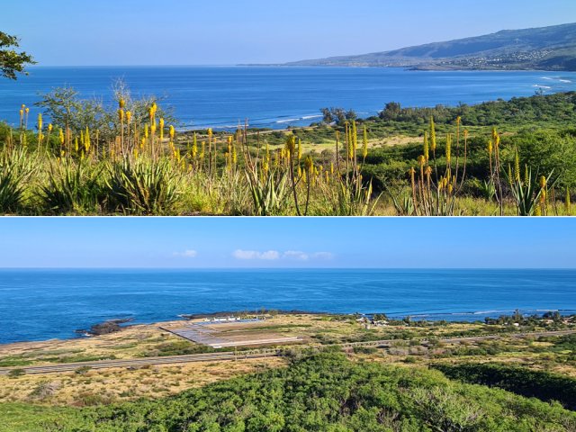 Larges panoramas sur l'océan. On aperçoit les baleines à la saison