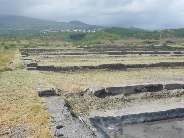 Très peu d'aires de séchage sont utilisées