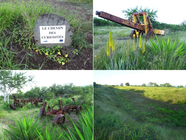 Le Chemin des Curiosités offre effectivement quelques curiosités