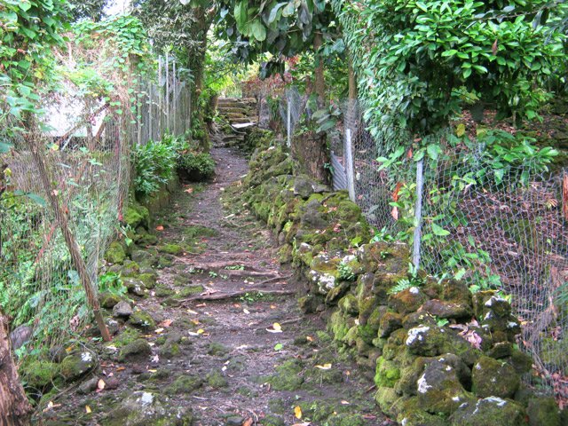 Le sentier débute entre les cases de Bois Blanc pour partir vers la mer