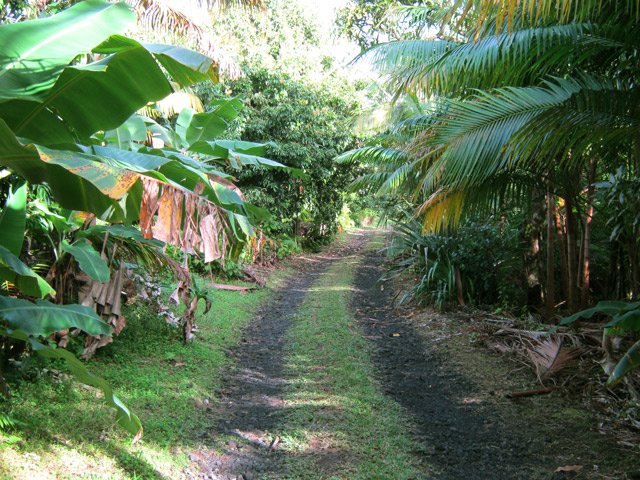 Le Chemin Indivis, piste de cailloux