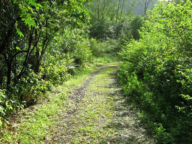 Totalement à plat, cette piste est constamment coupée de ponts métalliques sur des ravines