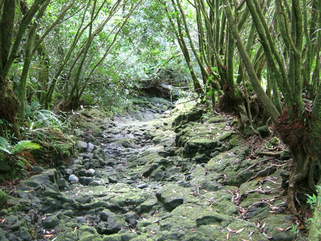 Passage d'une des nombreuses ravines