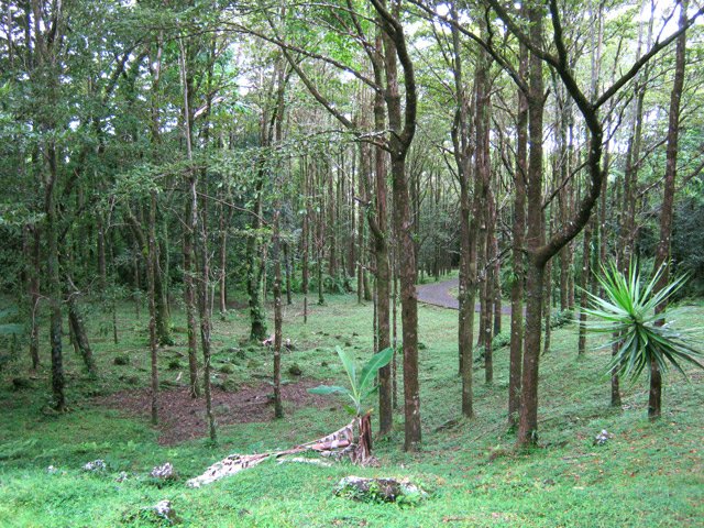 La belle zone de pique-nique de Bois Blanc