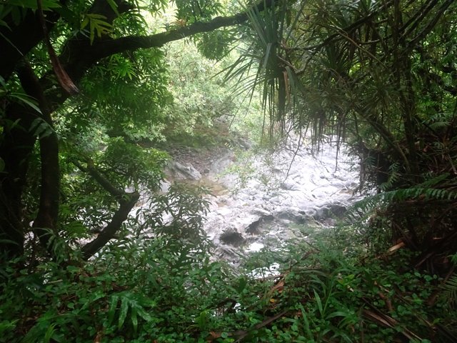 Le sentier peut partir à gauche vers l'Anse des Cascades en traversant la Ravine de Bois Blanc