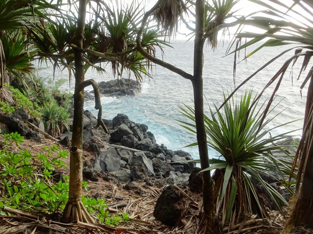 Arrivée au bord de mer sur la côte rocheuse