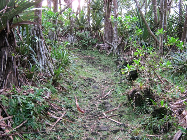 Quelques portions sont caillouteuses mais sans danger