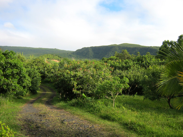 Tout le Chemin de l'Indivis est de cette qualité