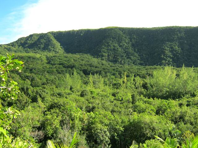 Le Rempart de Bois Blanc vers Piton Moka et Piton la Glace