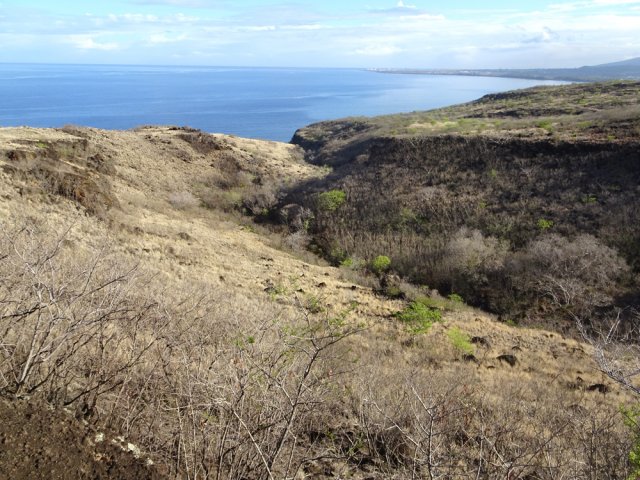 La Ravine Petite Anse au fond de sa courte vallée