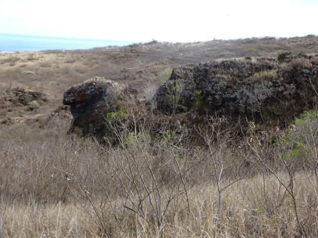 Une zone rocheuse de la Ravine Patent Slip