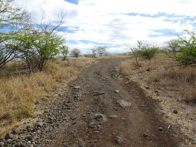 La piste sera doublée d'un sentier à une dizaine de mètres