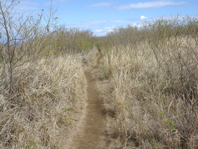 Privilégier le sentier longeant la clôture pour terminer la boucle