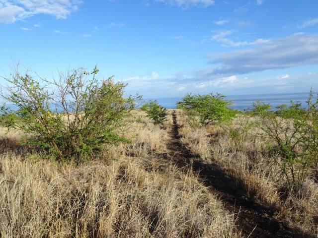 Agréable sentier en direction de l'échangeur de Plateau Caillou