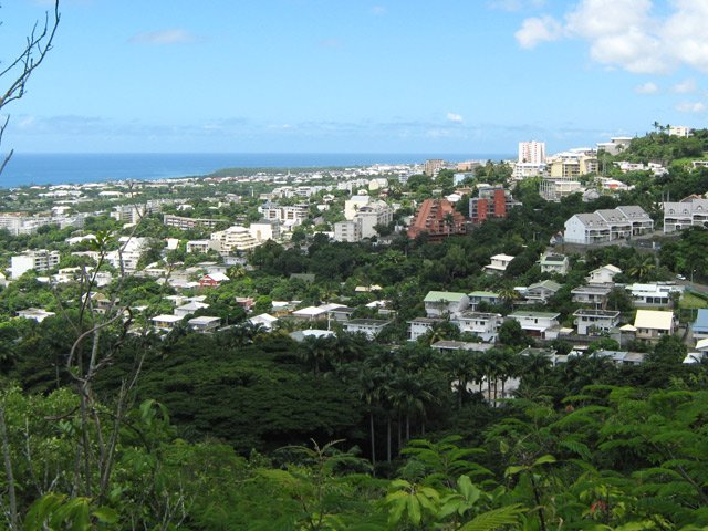 On voit bien les palmiers royaux du départ