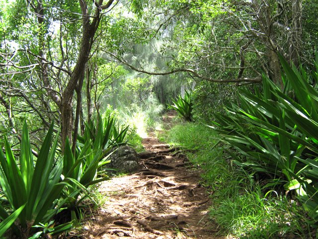 Une portion plate plus agréable dans les chocas
