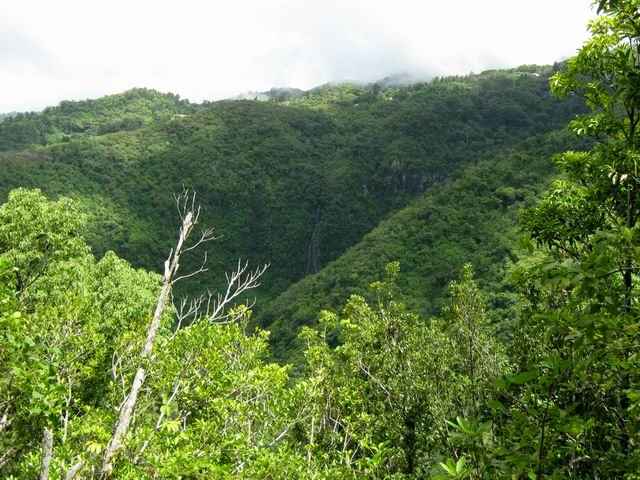 La cascade et les toitures de la Convalescence
